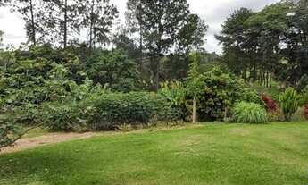 Imagem 4: TERRENO - JARDIM CURRUPIRA - SP