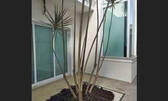 Imagem 2: CASA EM CONDOMÍNIO - CONDOMÍNIO TERRAS DE VINHEDO - SP