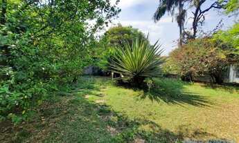 Imagem 4: CASA ASSOBRADADA - PACAEMBU - SP