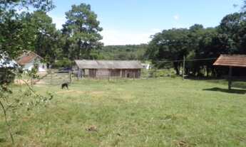 Imagem 5: Porto Alegre - Terreno Padrão - Lageado