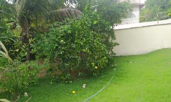 Imagem 3: Chácara com duas casas pronta para morar