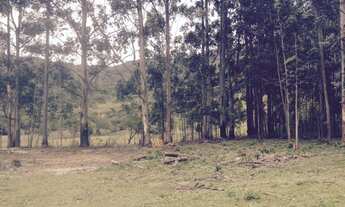 Imagem 3: SÍTIO - SÃO JOÃO DO RIO VERMELHO - SC