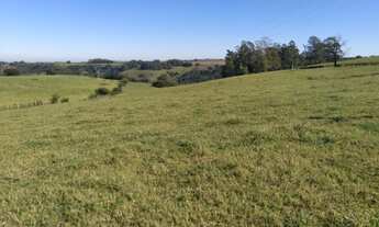 Imagem 3: Sitio em Cambira 10 alqueires