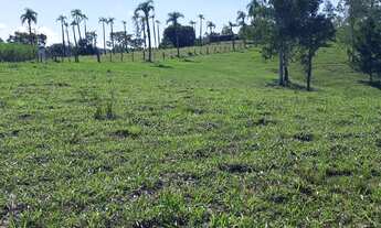 Imagem 6: Chácara em Nova Hartz