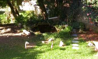 Imagem 5: Porto Alegre - Casa Padrão - Ipanema