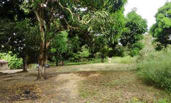 Imagem 6: Sítio em CAUCAIA-CE a 2 kms da aço cearense e BR 222
