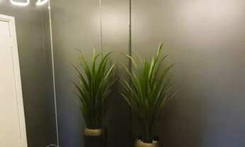 Imagem 6: APARTAMENTO - PERDIZES - SP