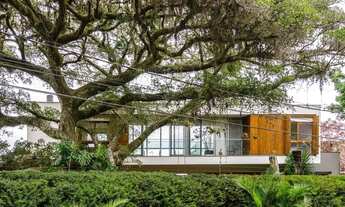 Imagem 4: PORTO ALEGRE - Casa Padrão - Vila Conceição