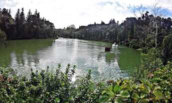 Imagem 2: Gramado - Terreno Padrão - Planalto