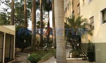 Imagem: Apartamento - Vila Industrial - Campinas