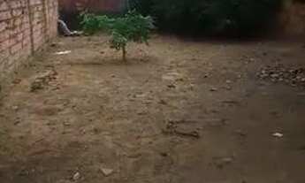 Imagem 3: Vende-se Casa Casa em condomínio com 2 dormitórios