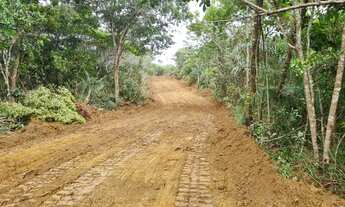 Imagem 4: Lotes em Abrantes - Oportunidade!