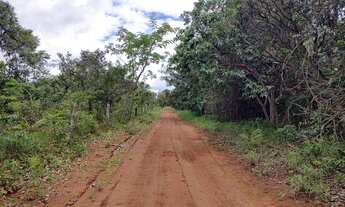 Imagem 2: Sítio chácara fazendinha Planaltina DF