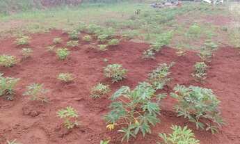 Imagem 6: Chácara Residencial Terra Bela..