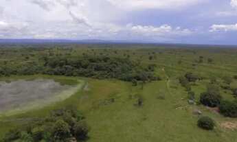 Imagem: Fazenda c/ 4.767he, área aberta degradada