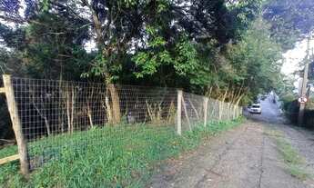 Imagem: Terreno no Itacorubi