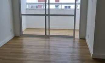 Imagem: ! Arboris jabotiana