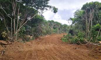 Imagem 5: Lotes em Abrantes - Oportunidade!