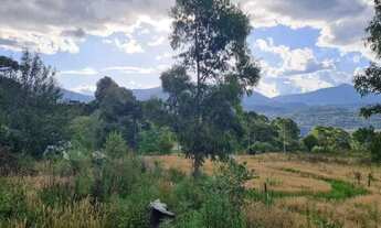 Imagem 7: Terreno rural próximo de Urupema-SC