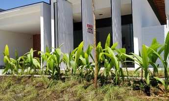 Imagem 4: Casa 170m2 com 3 Dormitorios