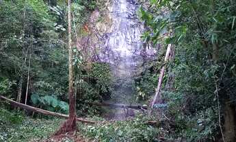 Imagem 4: ANITÁPOLIS/SC - Terreno a venda com cachoeiras 2hectares