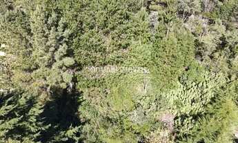 Imagem 6: Lote com Vista para a Pedra do Baú na Região do Alto do Capivari - Campos do Jordão/SP
