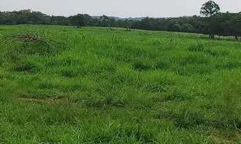 Imagem 5: Fazenda em Goiás velho