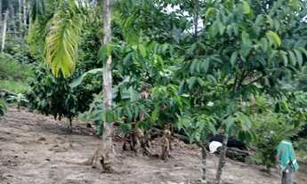 Imagem 4: Sítio 200 de largura por 1000 de fundo