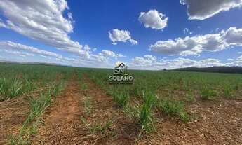 Imagem 7: Fazenda à venda no bairro Centro - Goianésia/GO