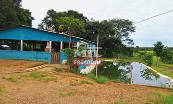 Imagem: Chacara 5.37 alqueires (26 hectares) Cocalzinho