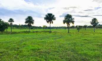 Imagem 2: ÁREA PARA PECUÁRIA-ALTO ALEGRE