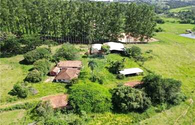 Imagem 13: SÍTIO 93.611 M2 R$6.000.000,00 BOM JARDIM - JAGUARIÚNA - SP