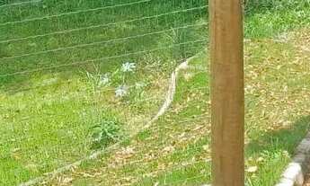 Imagem 5: Casa de condomínio para venda possui 1398 metros quadrados em Rio Abaixo - Mairiporã - SP