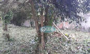 Imagem 2: Terreno Residencial com 787 m² em Itaipu, Todo Murado! Maravista - Rua da Farmácia Raia!