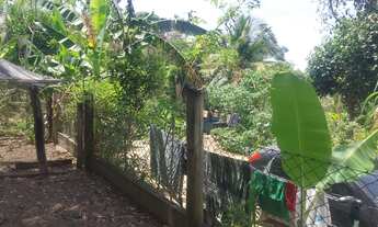 Imagem 5: Sítio Chácara com venda por R$600.000