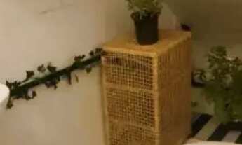 Imagem 4: Casa,45, 1 quarto em Flamengo - Rio de Janeiro - RJ