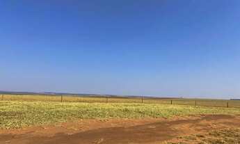 Imagem 4: Fazenda de arrendamento