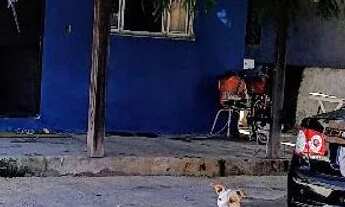 Imagem 2: Vendo ótima casa em praia de Mauá ?