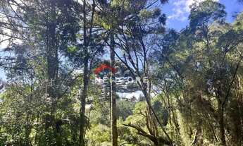 Imagem 2: Lote em Avenida Mata Atlântica - Alpes - São Francisco de Paula/RS