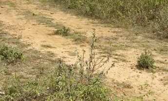 Imagem 3: Vendo sitio em euclides