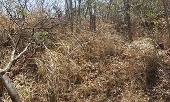 Imagem 4: Terreno a venda Terreno / lote com venda por R$73.000