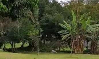 Imagem 7: REF. 254 Excelente sítio no bairro Ratones, para investir ou morar