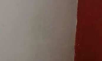 Imagem 7: Edícula pra alugar direto com Proprietário