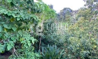 Imagem 5: Jardim Botânico