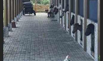 Imagem 3: Fazenda Real 1 - Lote Próximo a Área de Lazer