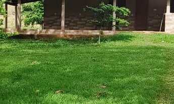 Imagem 3: Chácara em Guapó