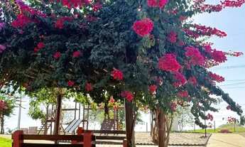 Imagem 4: Chácara 1.416m² - Terra Santa Trindade - GO