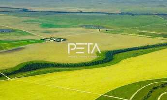 Imagem 5: Vende-se fazenda 974 hectares, a 45 km de boa vista plana, plantando soja entre outros hoj