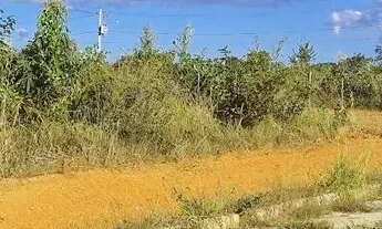 Imagem 3: Imóvel para venda tem 1000 metros quadrados em São José do Almeida - Jaboticatubas - MG