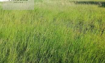 Imagem 7: Terreno à Venda em Cabo Frio - Nova Califórnia por R$34.700